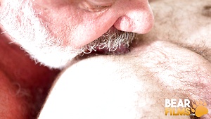 Stephen Harte and Tony DaRimma  anal fucking by Bear Films image 1