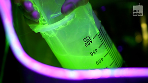 The Experiment