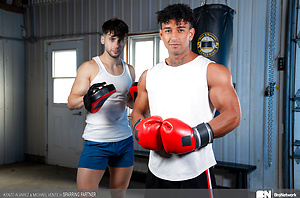 Sparring Partner by The Bro Network image 11