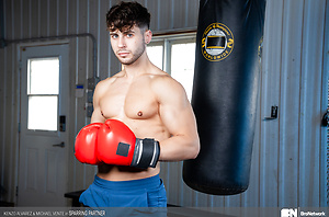 Sparring Partner by The Bro Network image 16