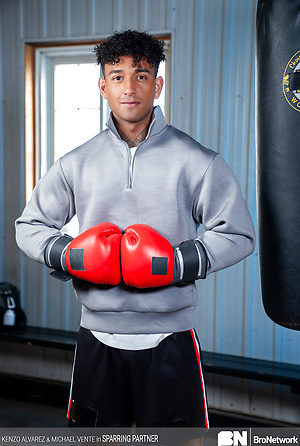 Sparring Partner by The Bro Network image 20