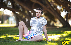 Griffin by SeanCody image 1