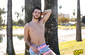 Griffin by SeanCody image 4