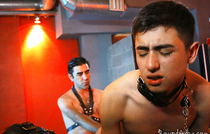 Collared twink-puppy spreads buns for some rimming by Bound Area image 5